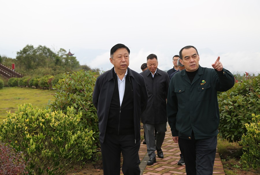 19-2021年10月，原國土資源部副部長汪民蒞臨公司調(diào)研。.jpg