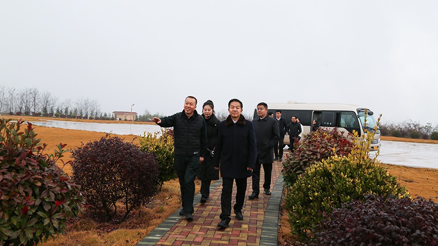 45-2020年12月，省高級人民法院黨組成員、副院長任建國蒞臨金徽股份調(diào)研知識產(chǎn)權(quán)司法保護工作。.jpg