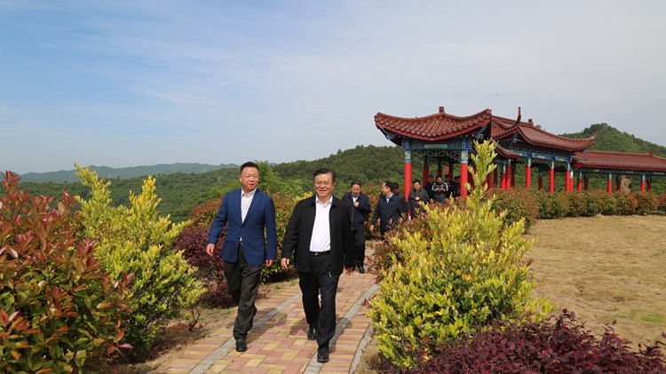 省人民檢察院黨組書記、檢察長朱玉調(diào)研金徽股份